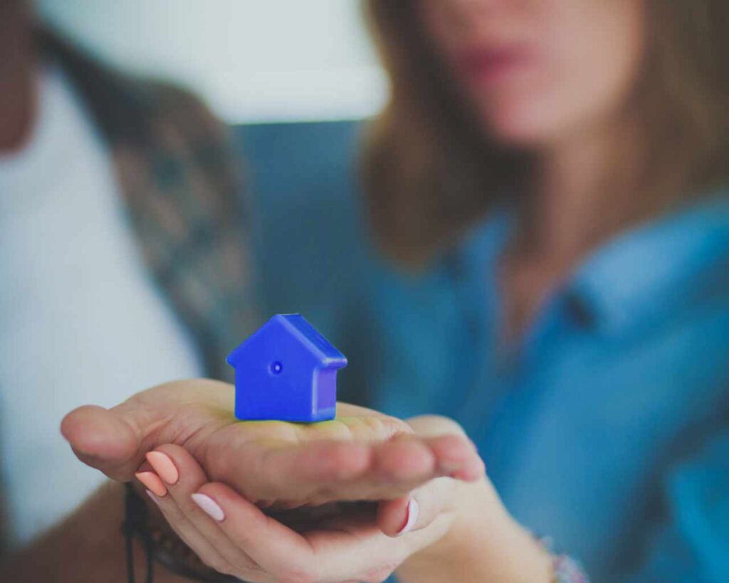SYHO - Proteggi la Tua Casa: Salvataggio Abitativo e Sostenibilità Sociale in Italia